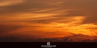 Order #: 0146 wavestaiwan4371.jpg